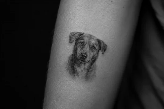 Tatuaje microrealismo: el estilo que mete una fotografía en menos de cinco centímetros