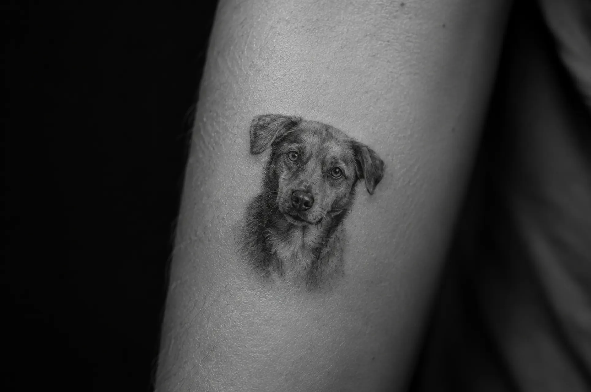 Tatuaje microrealismo: el estilo que mete una fotografía en menos de cinco centímetros